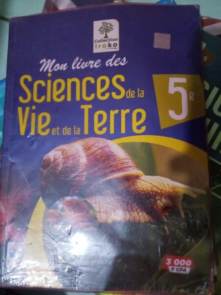 Livres scolaires 5e et 2e
