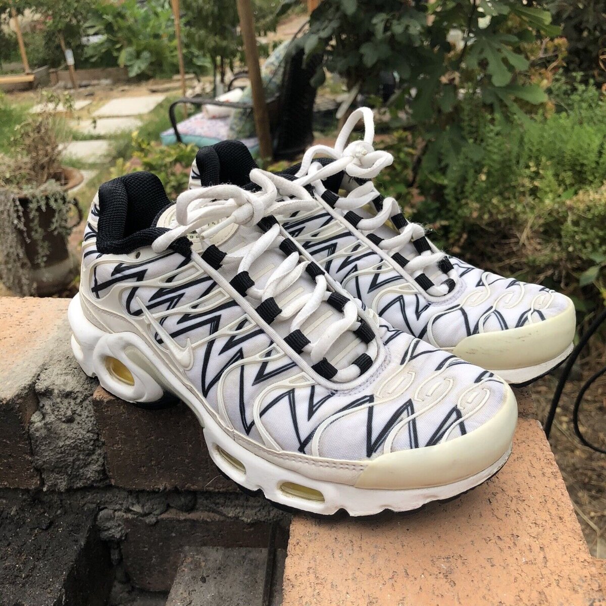 NIKE AIR MAX PLUS TN SHARK