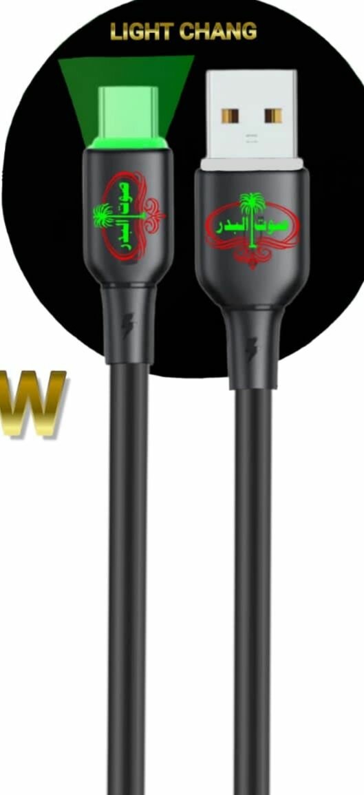 Type C Data Cable