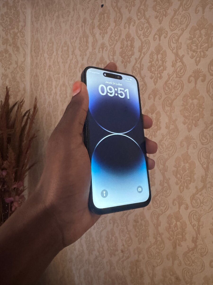 iPhone 14 pro Max LL/A 256giga