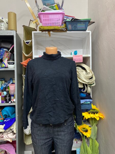 Turtle neck top
