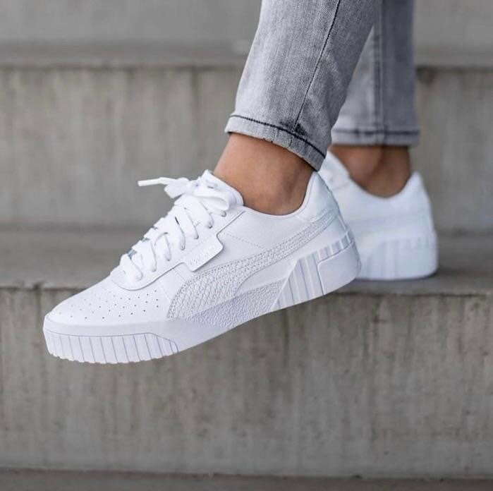 Puma cali