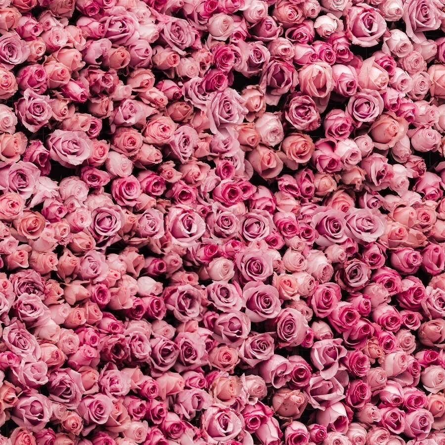 Papier peint floral roses