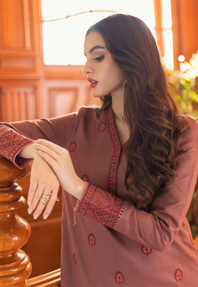 2 pcs women's unstitched Embroidered suit