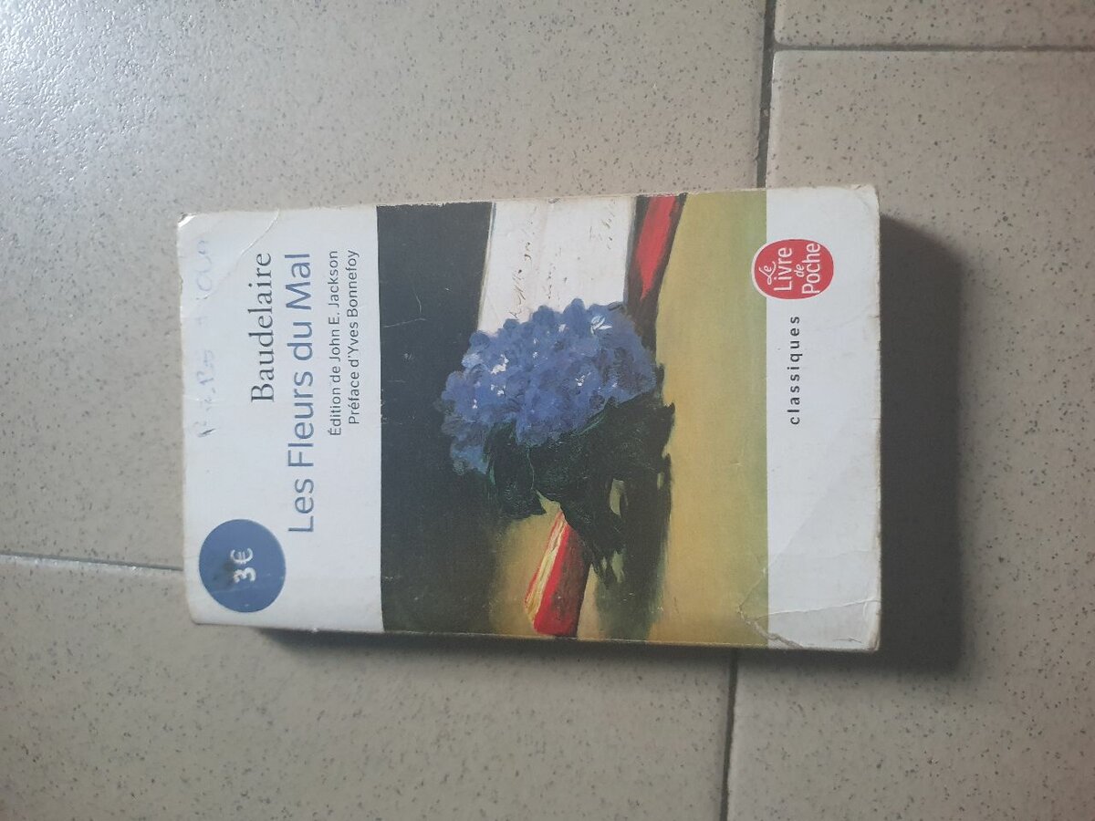 Les Fleurs du Mal - Baudelaire