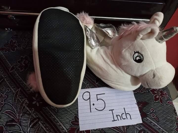 Ladies slippers