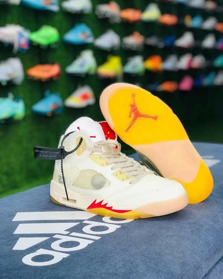 Air Jordan 6