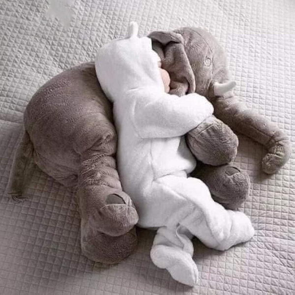 Baby elephant