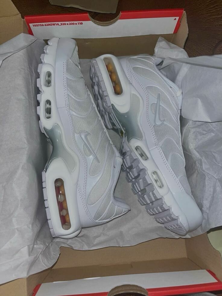 TN disponible