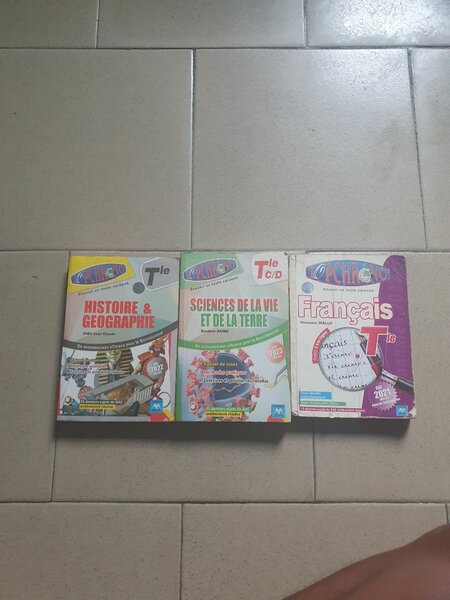 Lot de manuels scolaires lycée