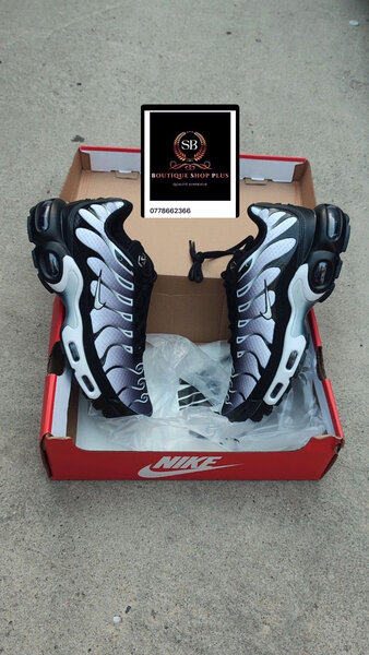 Chaussures Nike Air Max