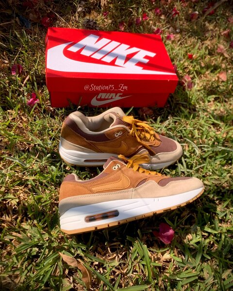 Airmax 1s