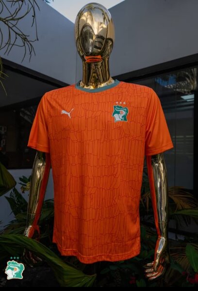 Maillot de football Puma