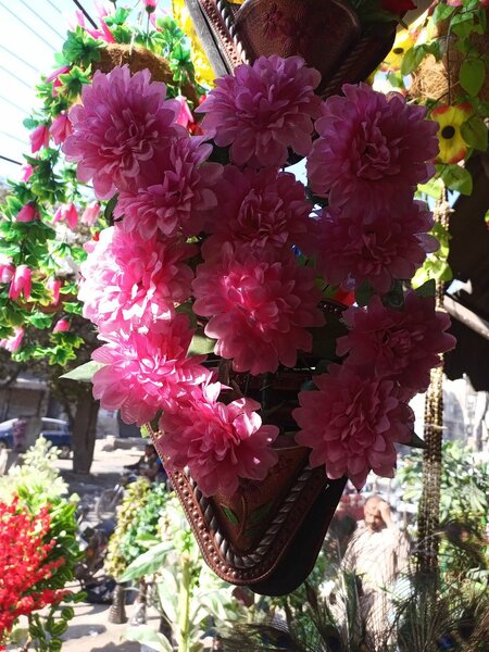 Flower
