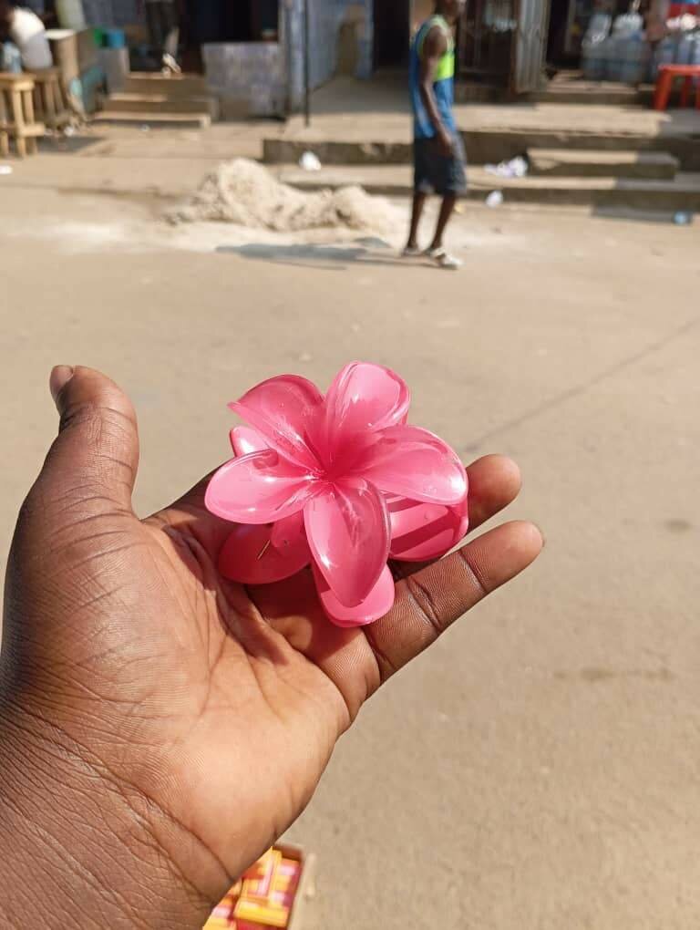 Pince à cheveux