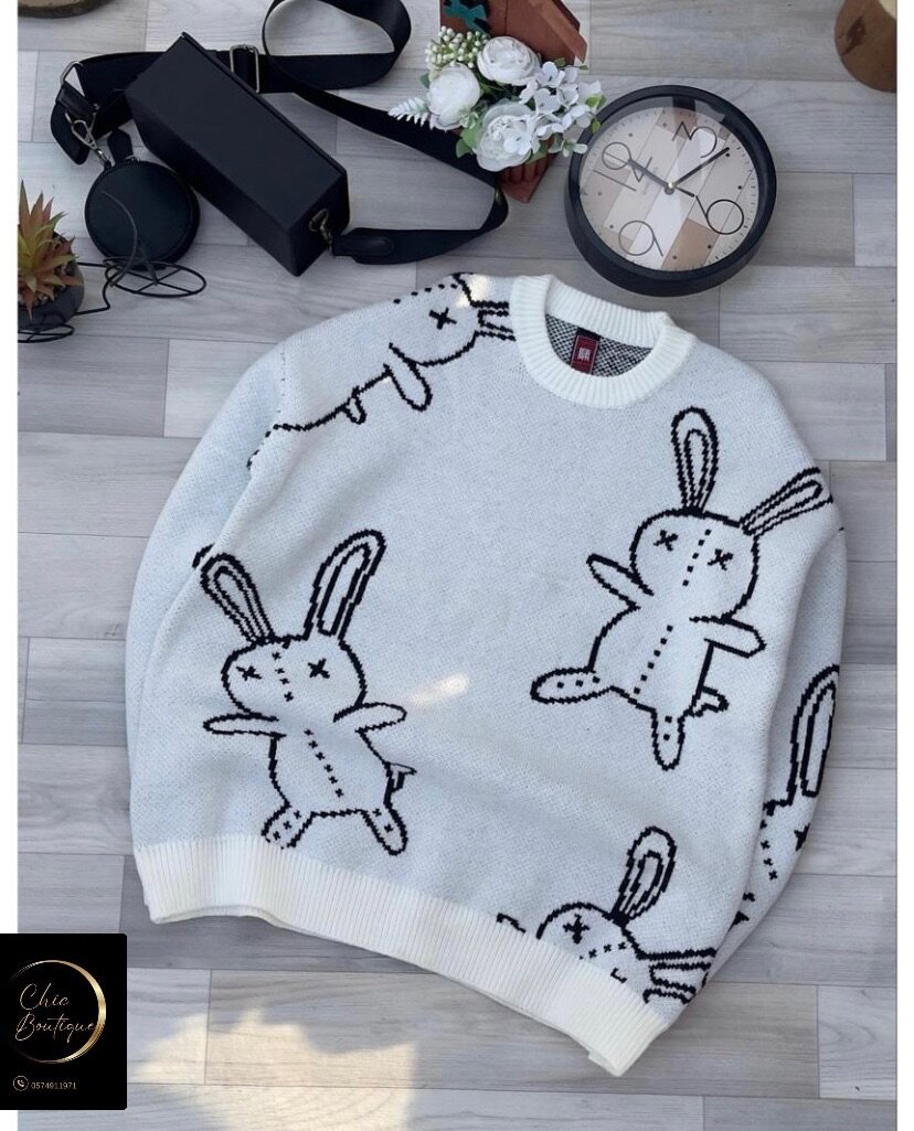 Pulls 100% coton
