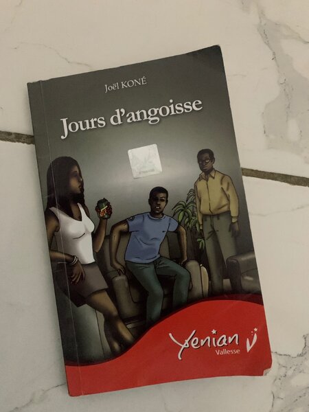 Jours d'angoisse - Roman