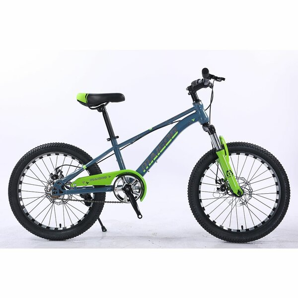 20 inch cycle