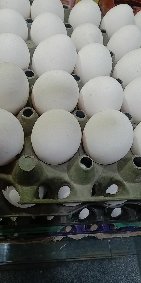 Eggs