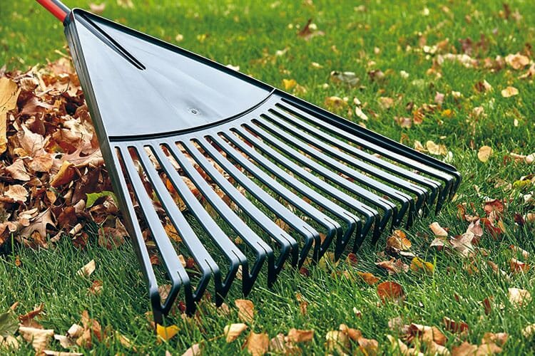 Rakes