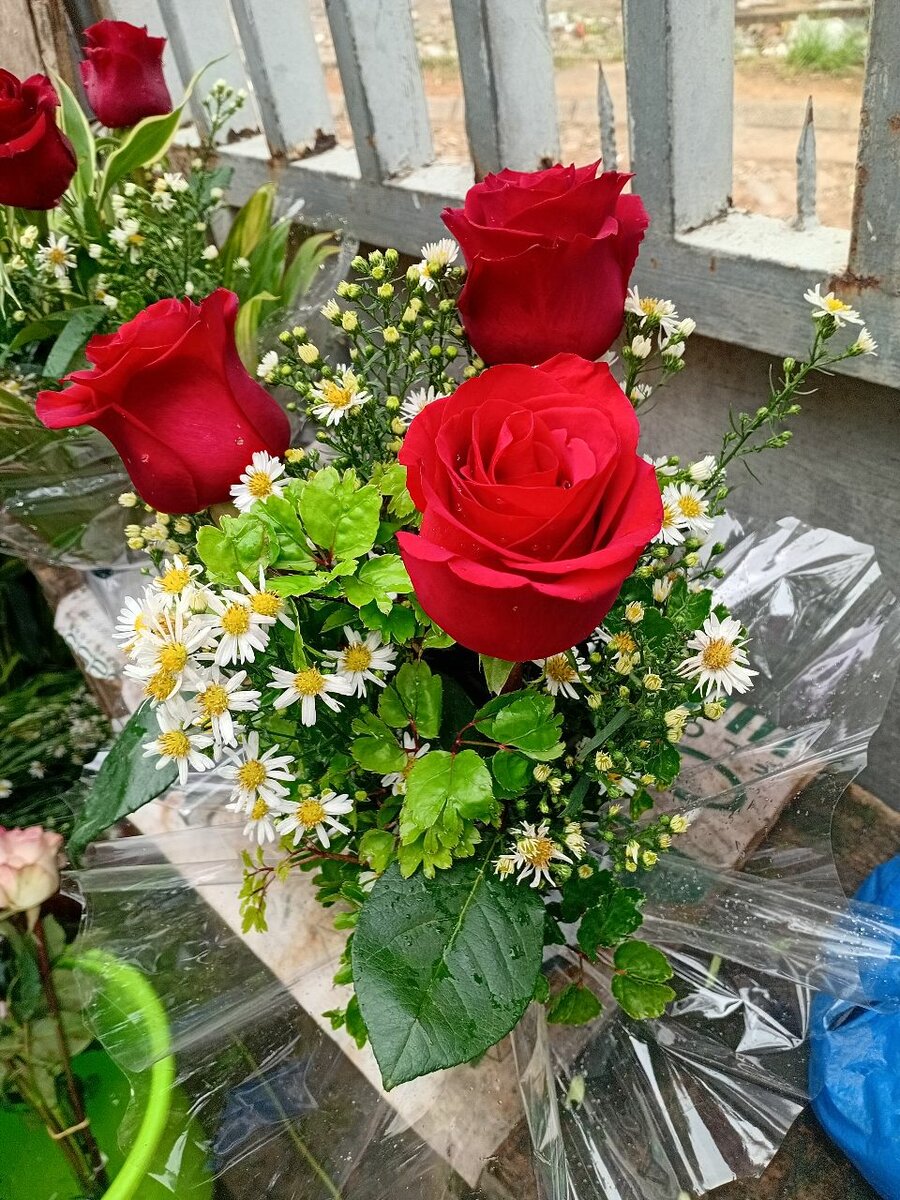 Bouquet de roses rouges éclatantes