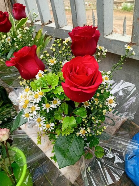 Bouquet de roses rouges éclatantes