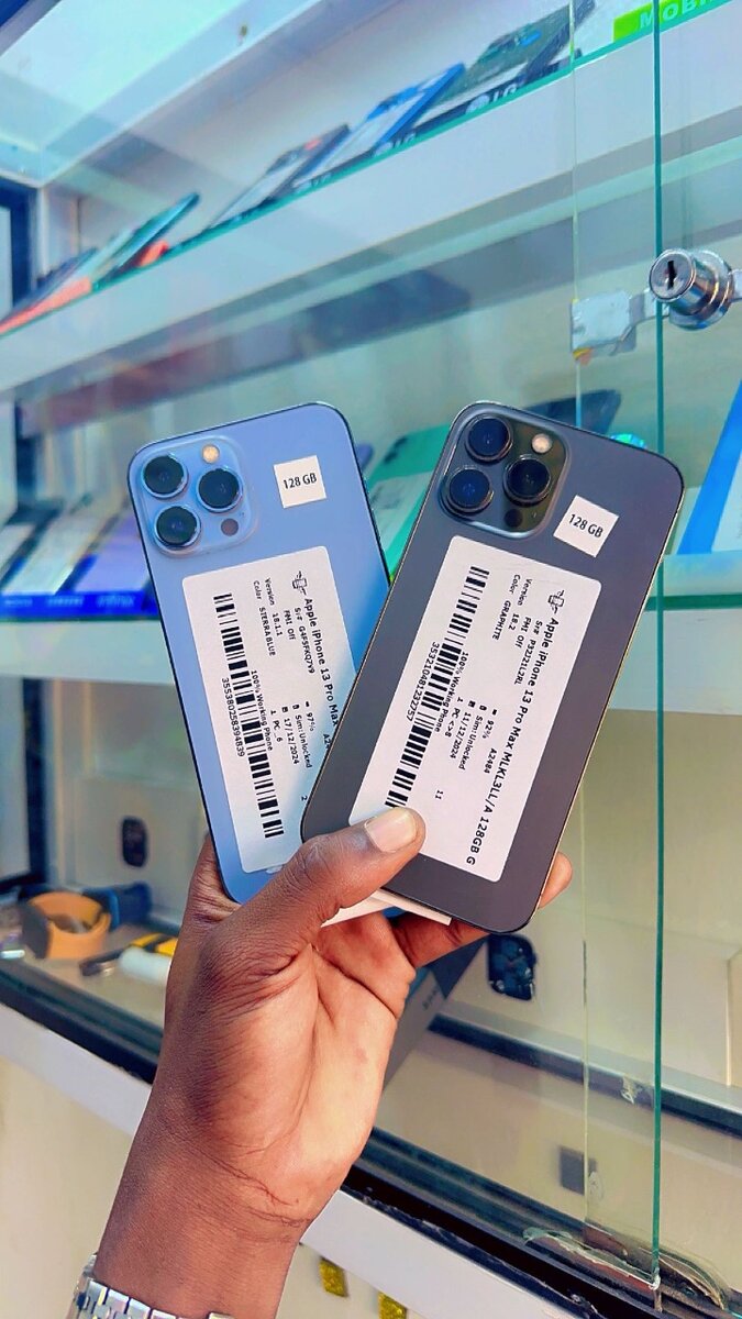iPhone 13 Pro Max