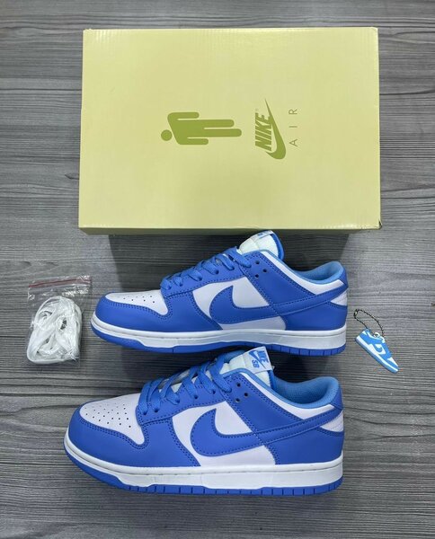 NIKE SB BLUE AND WHITE