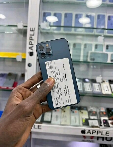 iPhone 12 Pro Max Neuf