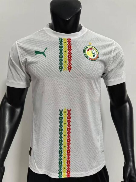 Maillot Équipe Sénégal Domicile