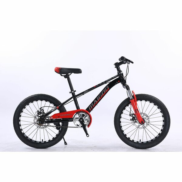 20 inch cycle