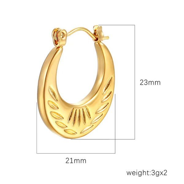 Stainless steel Earrings