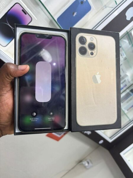 iPhone 13 Pro Max