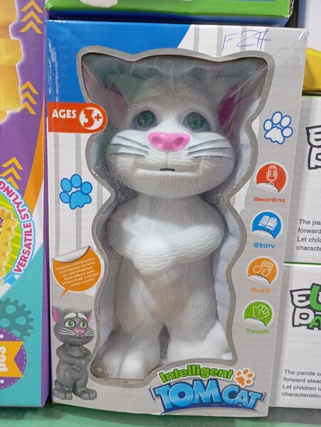 Tom cat