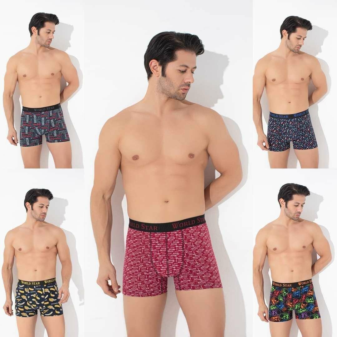 Men briefs a dozen