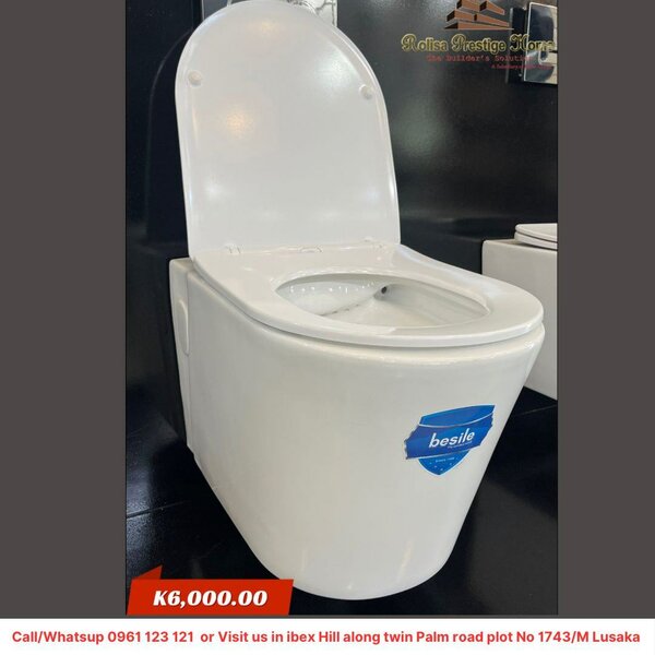 Wall hang toilet