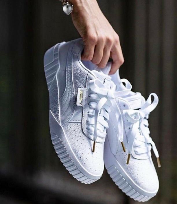 Puma cali