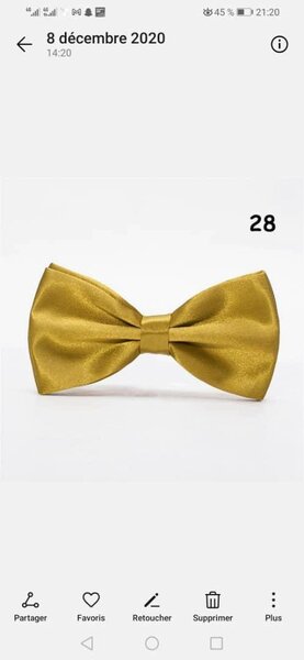 Noeud Papillon Doré Elegant