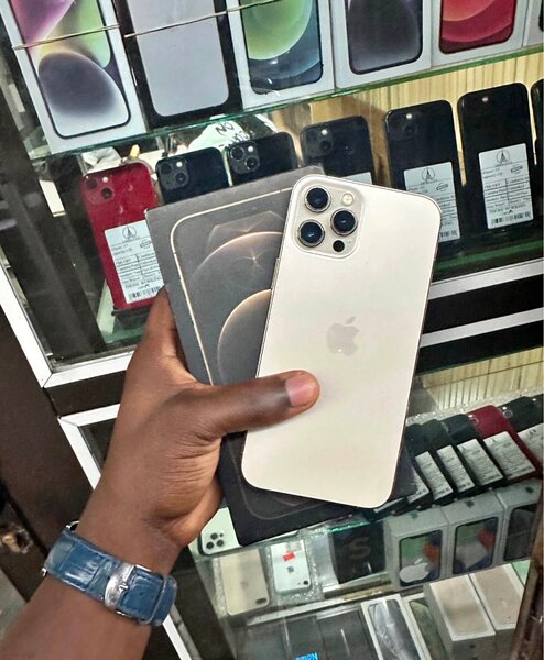 iPhone 12 Pro Max 256GB