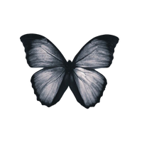 Сивас Владлена Эдуардовна