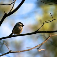 Марина Смагина