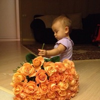 Элида Ахметова