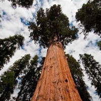 Вячеслав К.