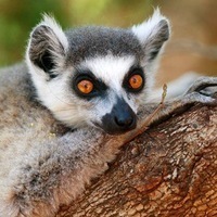 Алексей Русаков