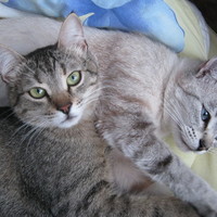 Умнова Светлана