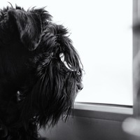 Алексей Архипов