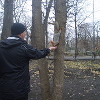 Андрей Кузнецов