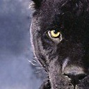 Виталий Пинаев