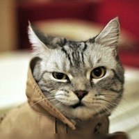 Сергей Караткевич