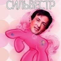 Светлана Л.